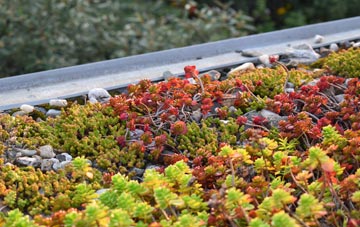 the cost of Rixon green roof installation