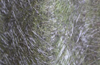 Rixon fibreglass roof work