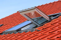 Rixon roof window